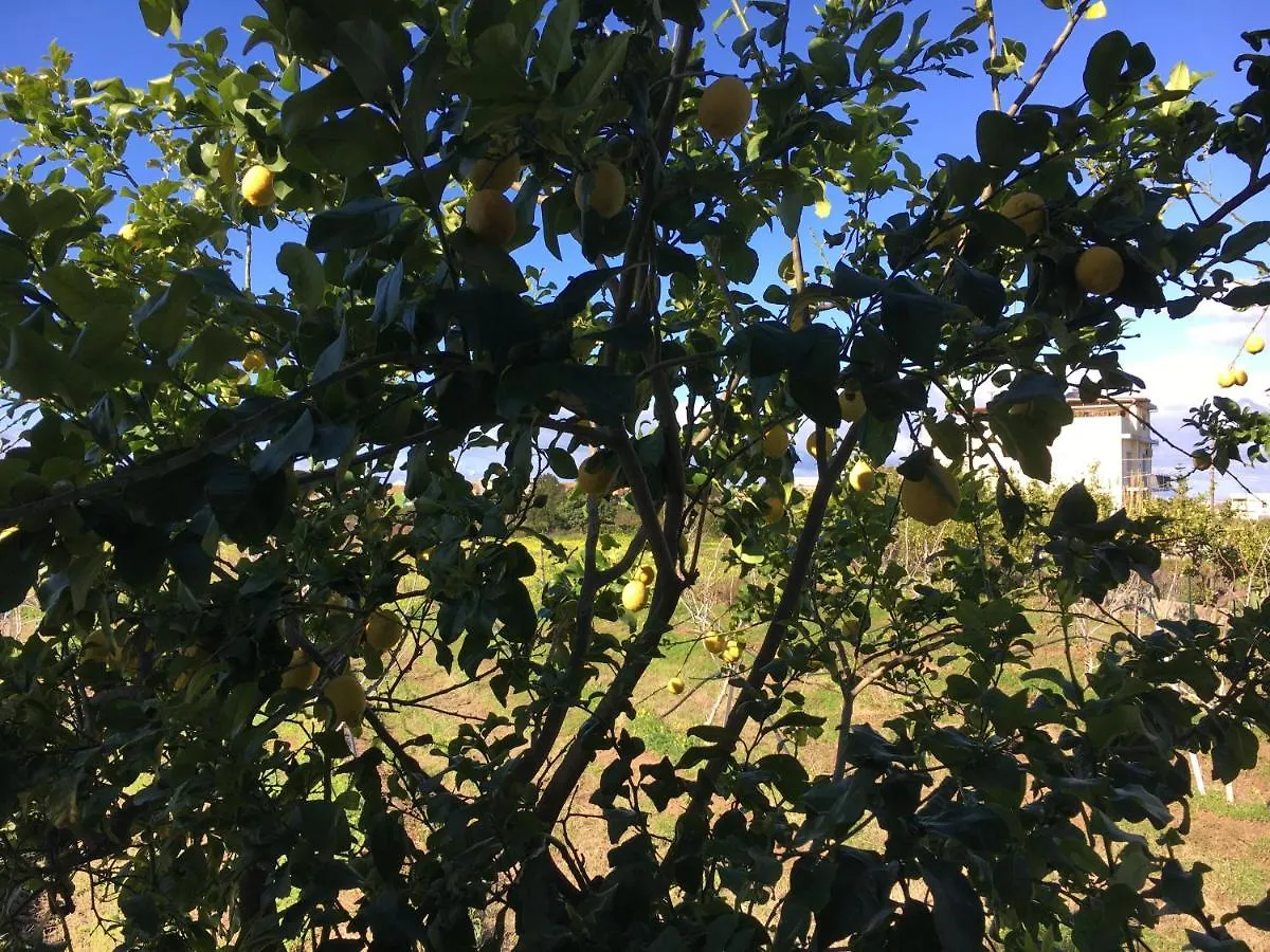 Agriturismo Crilu Milazzo 0*,